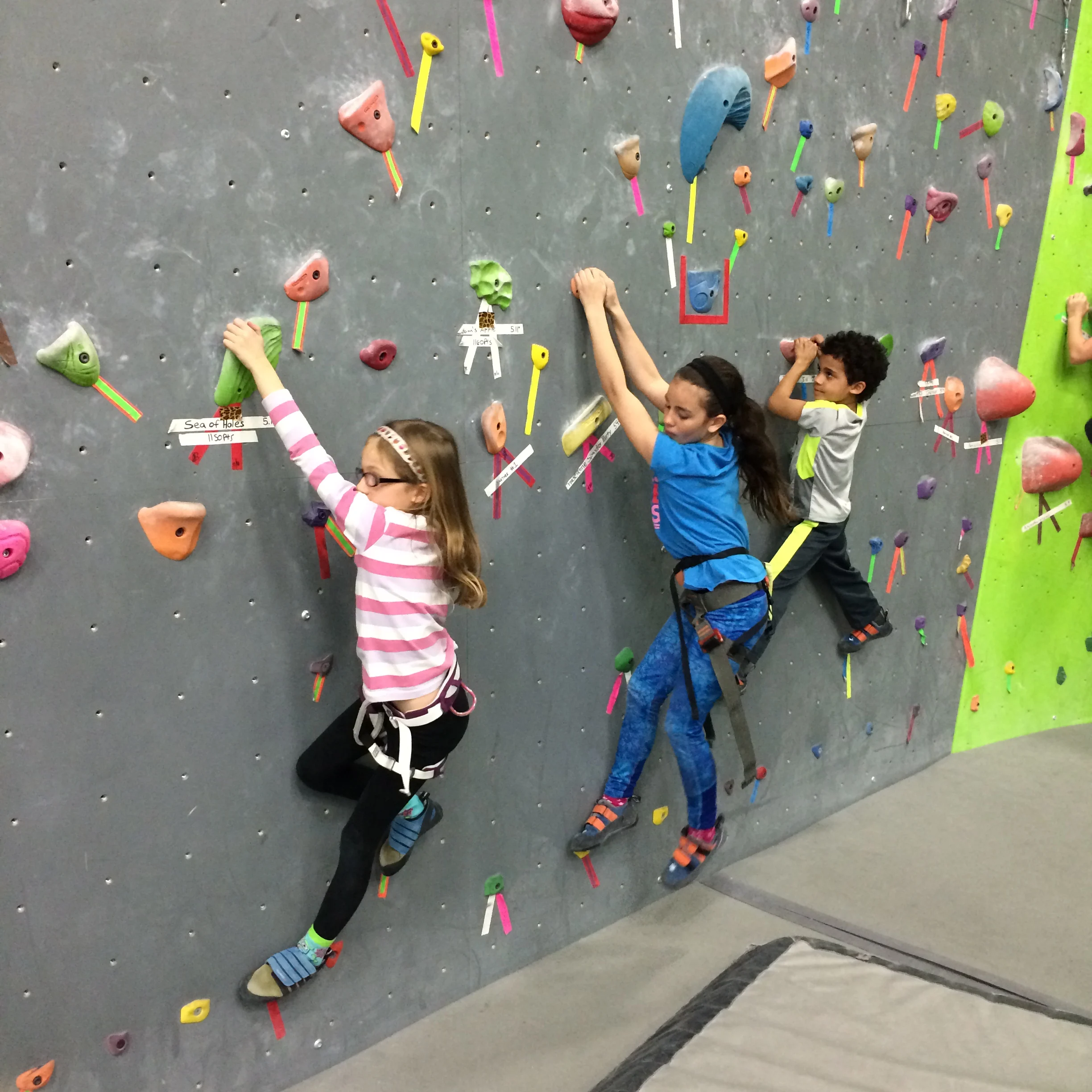 Indoor Rock Climbing