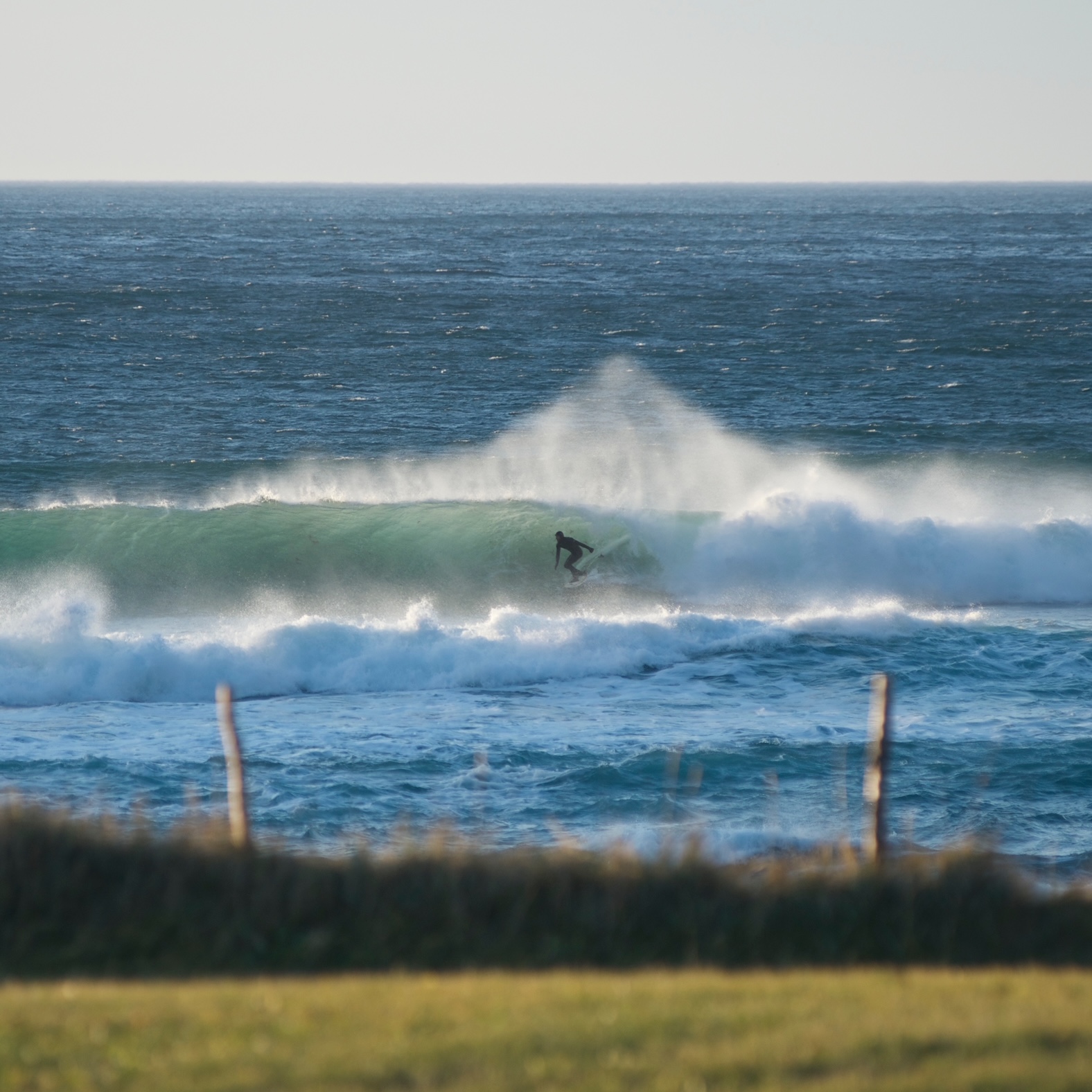 Olympic Surfing